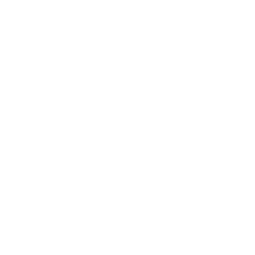 Experience icon